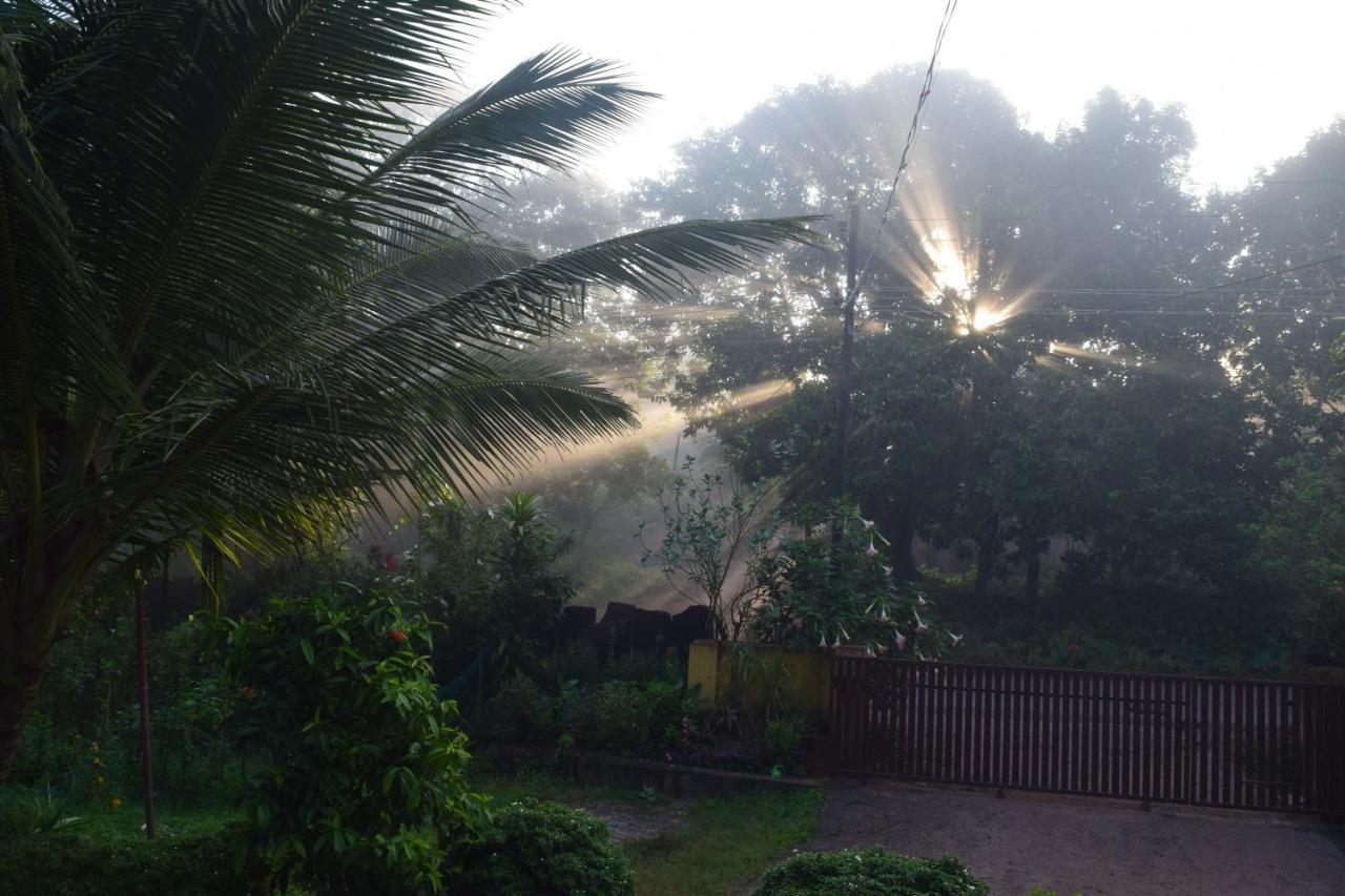 Ibbani Homestay, Siddapur Exterior foto