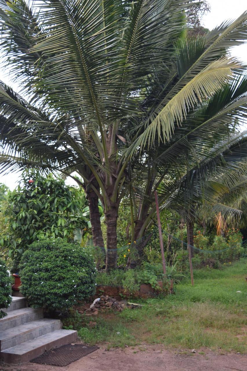 Ibbani Homestay, Siddapur Exterior foto