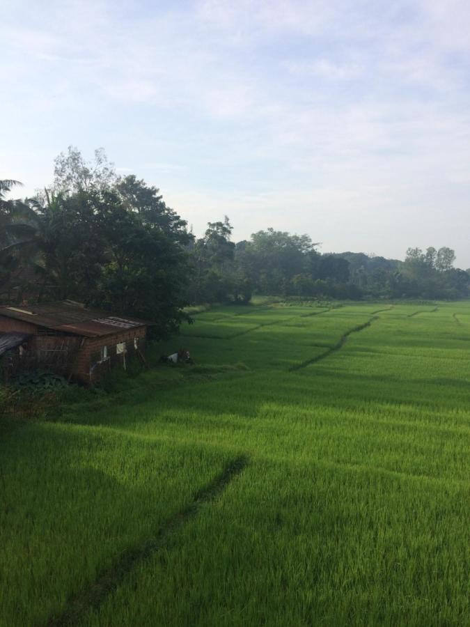 Ibbani Homestay, Siddapur Exterior foto